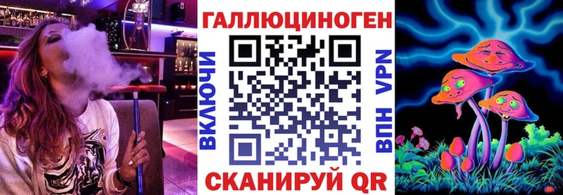 omg ТОР Артём Псилоцибиновые грибы Cubensis